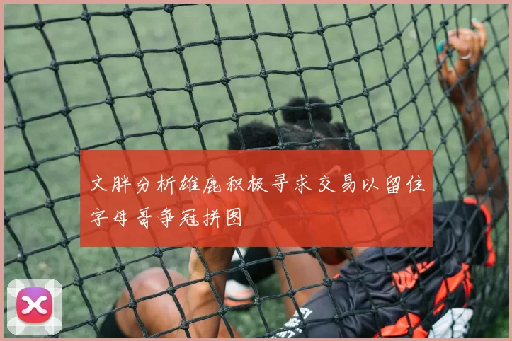 文胖分析雄鹿积极寻求交易以留住字母哥争冠拼图