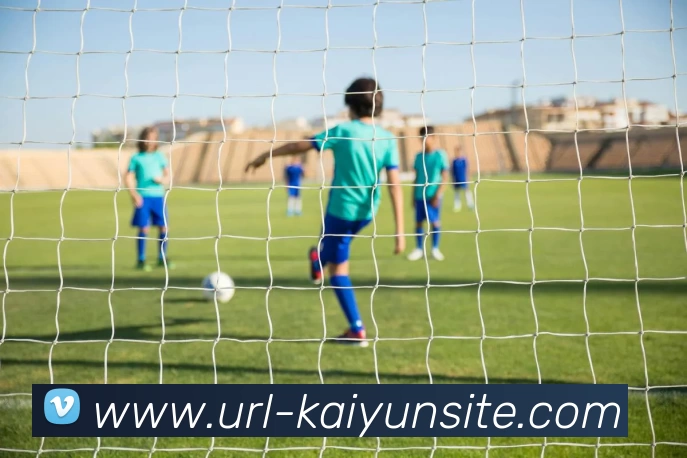 开云体育APP 高清赛事图